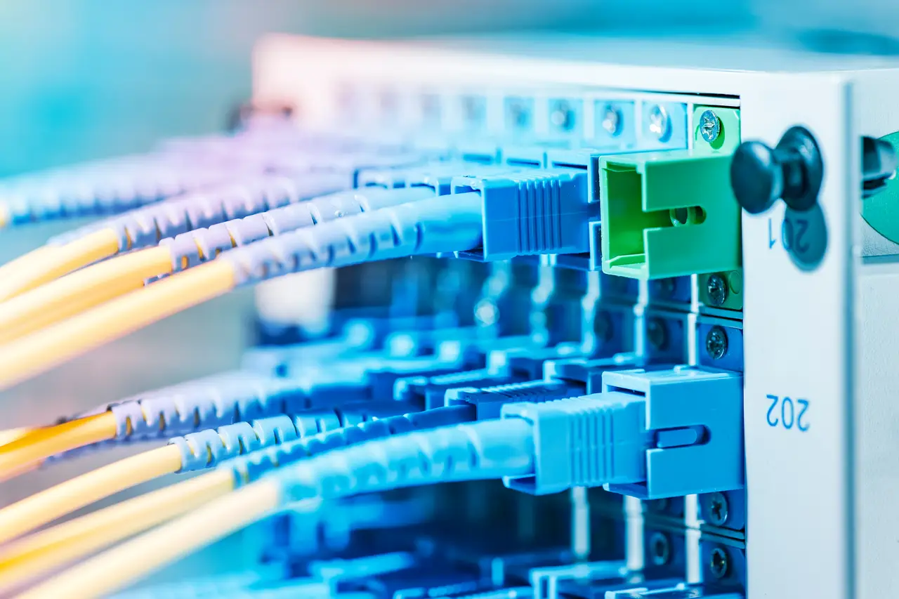 Fiber optic patch cords connected to a network switch in a server rack