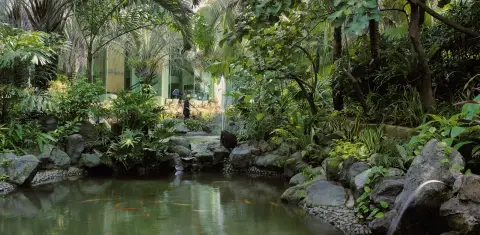 Landscaped tropical garden and water feature at ESL Tower & Garden Wing, Mandaluyong